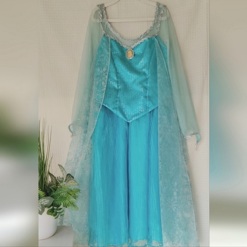 Disney Park's Frozen Elsa Dress up/ Costume Size L(10/12)